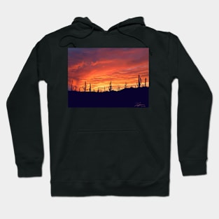 Desert Sunset Landscape (2022) Hoodie